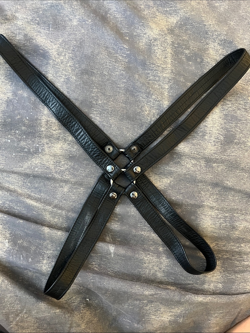 Travis Taddeo Leather harness